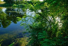 Август на Калитве, у Ефремово-Степановки, на берегу и под водой.