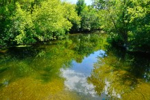 Август на Калитве, у Ефремово-Степановки, на берегу и под водой.