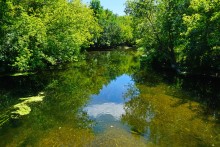 Август на Калитве, у Ефремово-Степановки, на берегу и под водой.