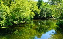 Август на Калитве, у Ефремово-Степановки, на берегу и под водой.