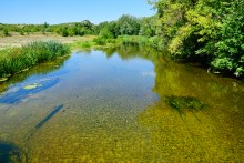Август на Калитве, у Ефремово-Степановки, на берегу и под водой.