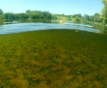 Август на Калитве, у Ефремово-Степановки, на берегу и под водой.