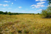 Леса на реке Калитве 