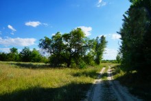 Леса на реке Калитве 