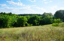 Леса на реке Калитве 