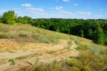 Леса на реке Калитве 