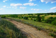 Леса на реке Калитве 