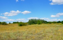 Леса на реке Калитве 