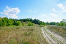 Леса на реке Калитве 