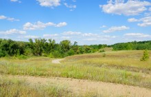 Леса на реке Калитве 