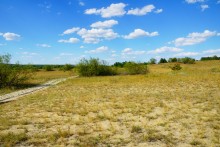 Леса на реке Калитве 