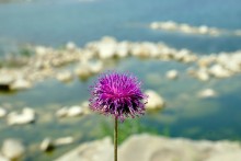 Богураевский карьер