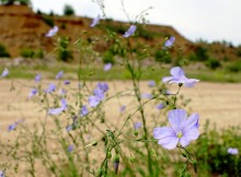 Богураевский карьер