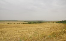 Пыльная буря в августе в центре Ростовской области