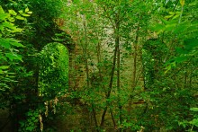 Большие дороги Донского края 19-го века, Процыков