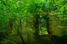 Большие дороги Донского края 19-го века, Процыков