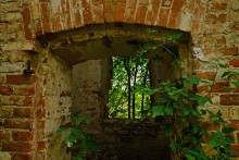 Большие дороги Донского края 19-го века, Процыков