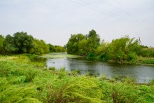 Большие дороги Донского края 19-го века, Процыков