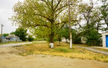 Встречи в хуторе Ильинка Белокалитвенского района на реке Берёзовой