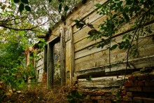 Встречи в хуторе Ильинка Белокалитвенского района на реке Берёзовой