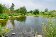 Встречи в хуторе Ильинка Белокалитвенского района на реке Берёзовой