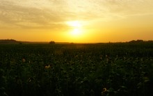 Закат на Тузлове