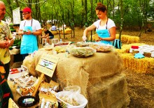 Хутор-Фест, праздник сельского туризма и гастрономии в Неклиновском районе у хутора Петровский