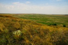 Приазовская степь у Самбека, Сухого Самбека и Бирючьей балки