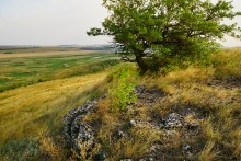 Приазовская степь у Самбека, Сухого Самбека и Бирючьей балки