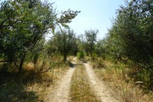 Путешествие вокруг Шаминской горы