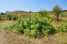 Путешествие вокруг Шаминской горы