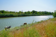 Путешествие вокруг Шаминской горы