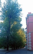 Улица Воровского на Сельмаше