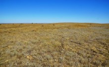 Липовый перекат на Северском Донце