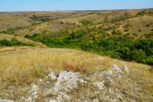 Липовый перекат на Северском Донце