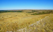 Липовый перекат на Северском Донце