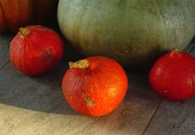 Красный цвет сентября