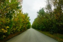 Грибы и ранняя осень на Кундрючьей