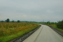 Грибы и ранняя осень на Кундрючьей