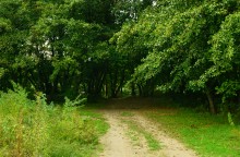 Грибы и ранняя осень на Кундрючьей