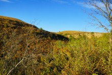 Пейзажи на повороте Северского Донца у хутора Дядин