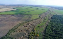 Большинский лес на Калитве