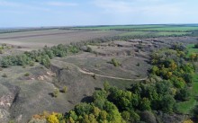 Большинский лес на Калитве