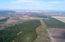 Большинский лес на Калитве