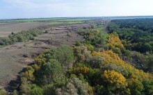 Большинский лес на Калитве