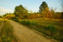 Большинский лес на Калитве