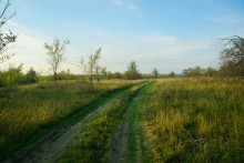 Большинский лес на Калитве