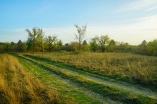 Большинский лес на Калитве