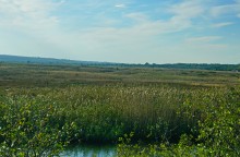 Ветреным и солнечным осенним днём на Тузлове