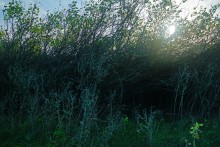 Ветреным и солнечным осенним днём на Тузлове